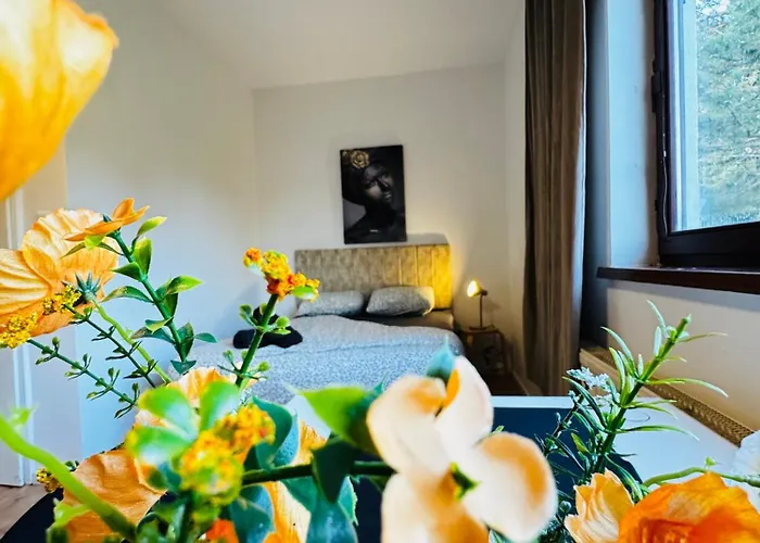 Budget Friendly House With Garden For 14 Guests Vienna