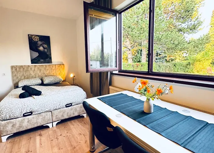 Budget Friendly House With Garden For 14 Guests Apartment Vienna
