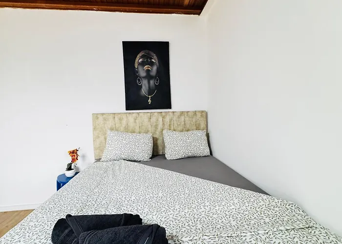 Budget Friendly House With Garden For 14 Guests Apartment Vienna